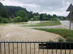 64751370_2696327590396991_4573471680055214080_n