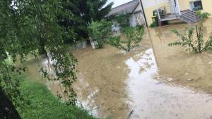 64775859_1277135049117607_5996698587818360832_n