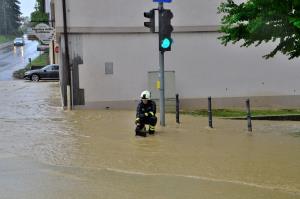 64781433_926995800973964_7969629095552090112_o