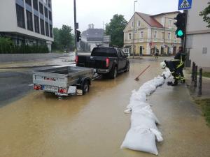 64874153_926995670973977_442524851467452416_n