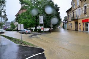 64878628_926996070973937_6424232611853369344_o