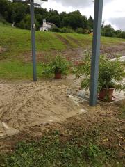 65115418_2363852107224800_7435532878454194176_n