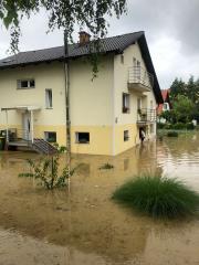 65140283_1277135119117600_2708541706982129664_n