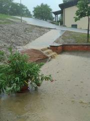 65199681_2363851757224835_8648772882291228672_n