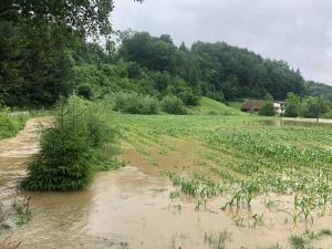 65254732_2696328397063577_5379097722471055360_n