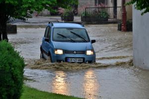 65562282_926995967640614_8304854978086830080_o