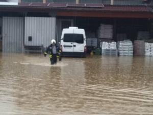 65918758_2163973443731336_5210750835717308416_n