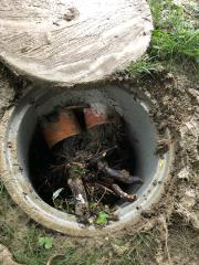 66004056_2077882979001457_1232539761504157696_n