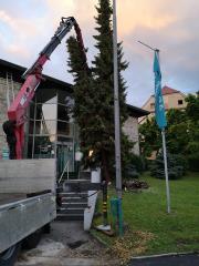 66060264_393375794614136_6072960619831623680_n