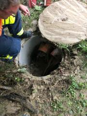 66140329_2776141442415474_6078875326669127680_n