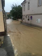 66201975_650471085471264_4152653902539390976_n