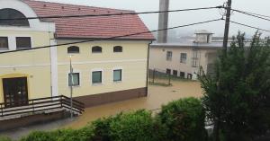 66230144_2327188217541485_9145913770550231040_n