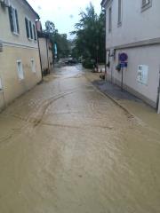 66289676_2291499531091003_582669509781880832_n