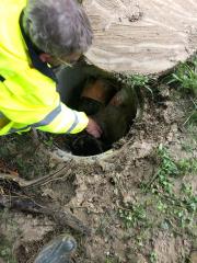 66298435_2042887112672842_7459383484683911168_n