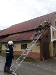 66517512_959691534376902_35728716243927040_n