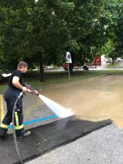 66518016_2334561560115741_8574107491485351936_n