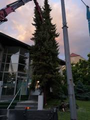 66598637_361458894563093_8635972299201183744_n