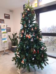 78213735_1413251035506007_3544029888207912960_n