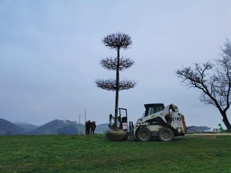 Svečana lipa je posajena. 
