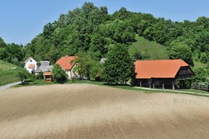 Sedovška domačija