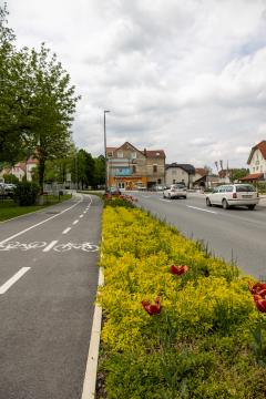 Kolesarska povezava v Šmarju pri Jelšah. 