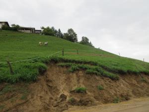 Plaz pod domačijo Krašovec. 