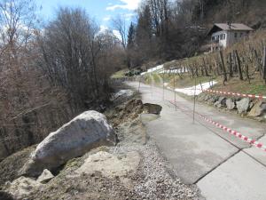 IMG_2553