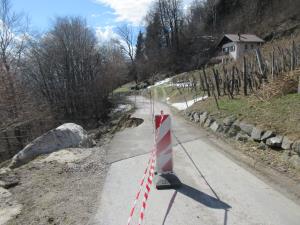 IMG_2554